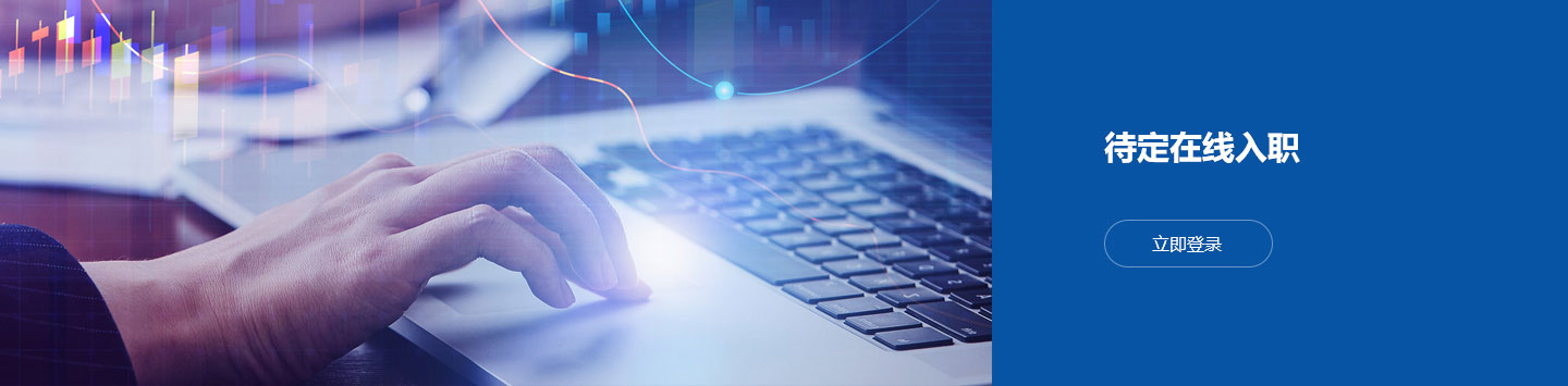 国产精品无码mv在线观看