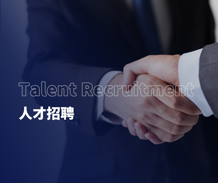 国产精品无码mv在线观看