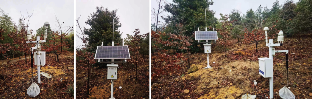 国产精品无码mv在线观看